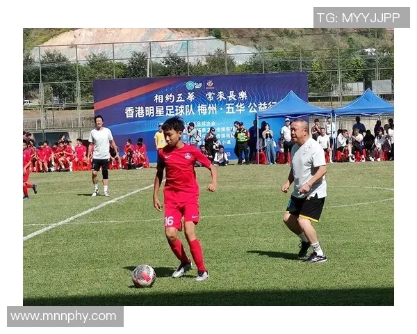 扑克高手的稳定来源（职业牌手的稳健根基）