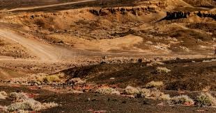 2026、2030、2034、2038年世界杯，中国队能否连续入围？ 2024年6月11日，